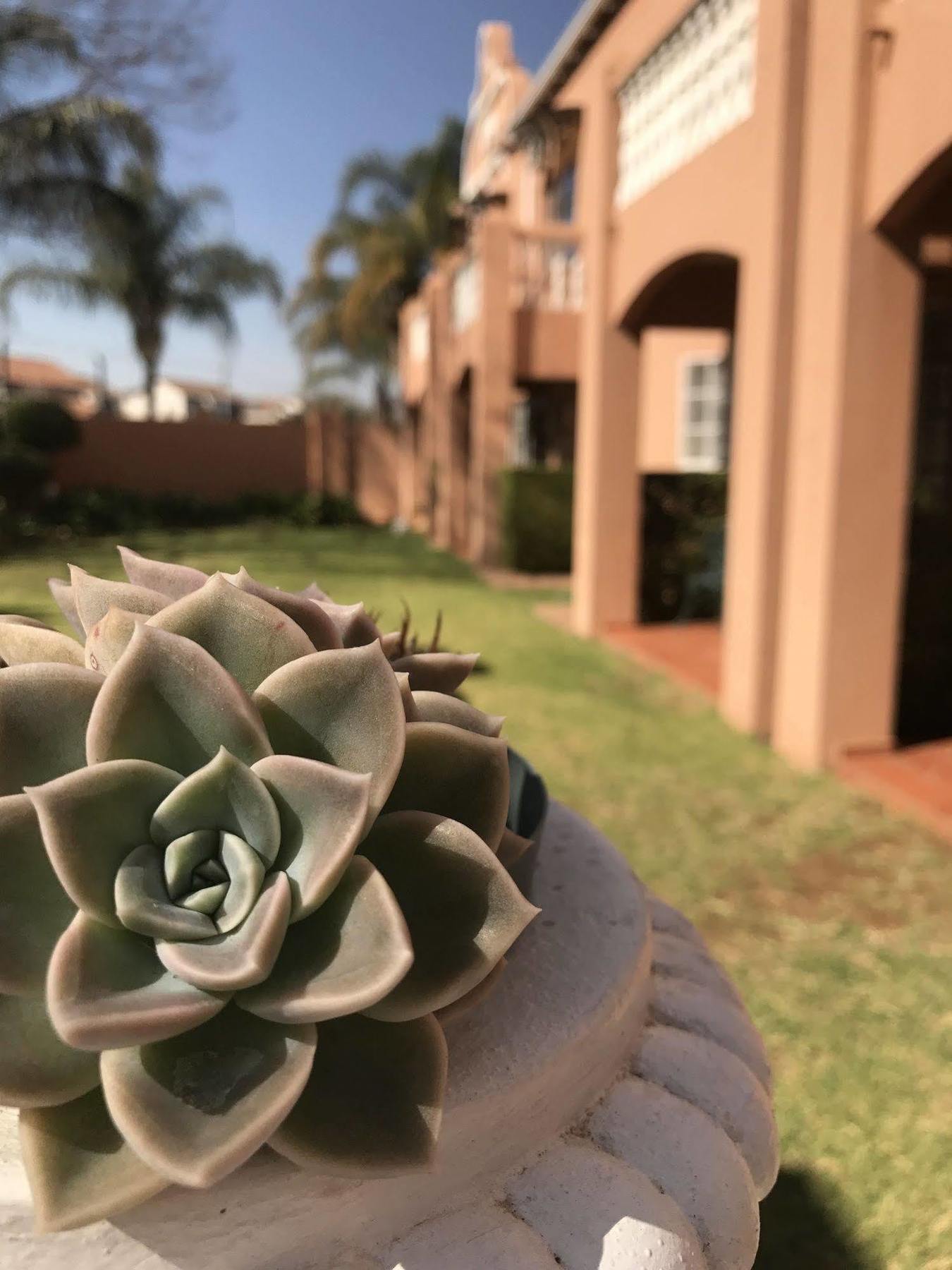 The Elegant Lodge Menlo Park Pretoria Exterior foto